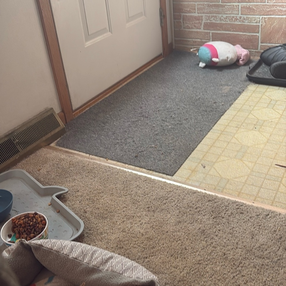 Nike Leggings Cropped